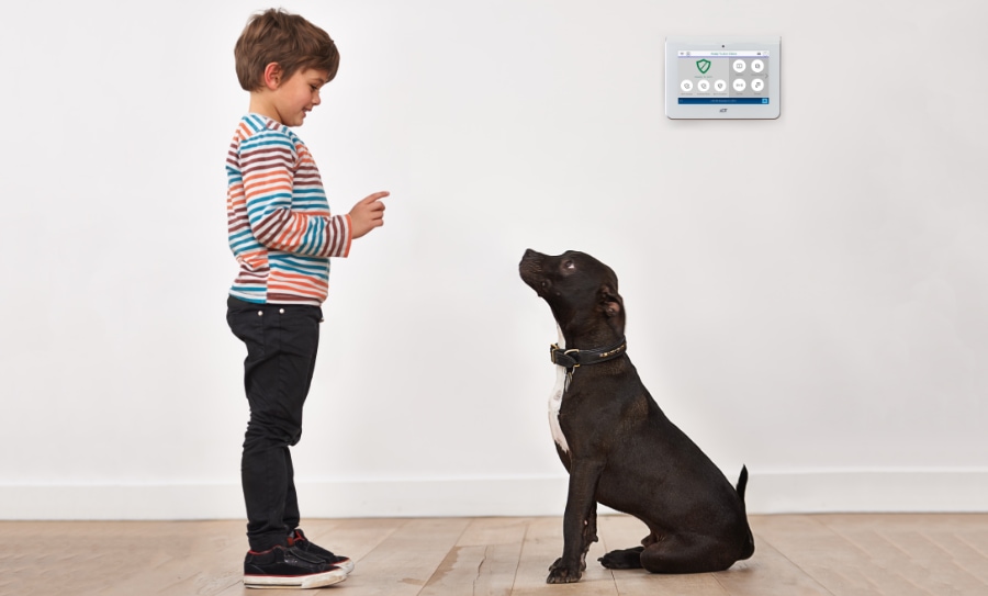 San Clemente security systems